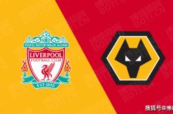 开云平台-利物浦主场输给狼队，失去领头羊位置的简单介绍