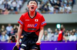 开云体育官方网站-奥地利乒乓球队横扫波兰乒乓球队，张继科关键制胜的简单介绍