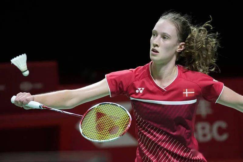 德国队完胜马来西亚队，戴资颖惊艳四座的简单介绍