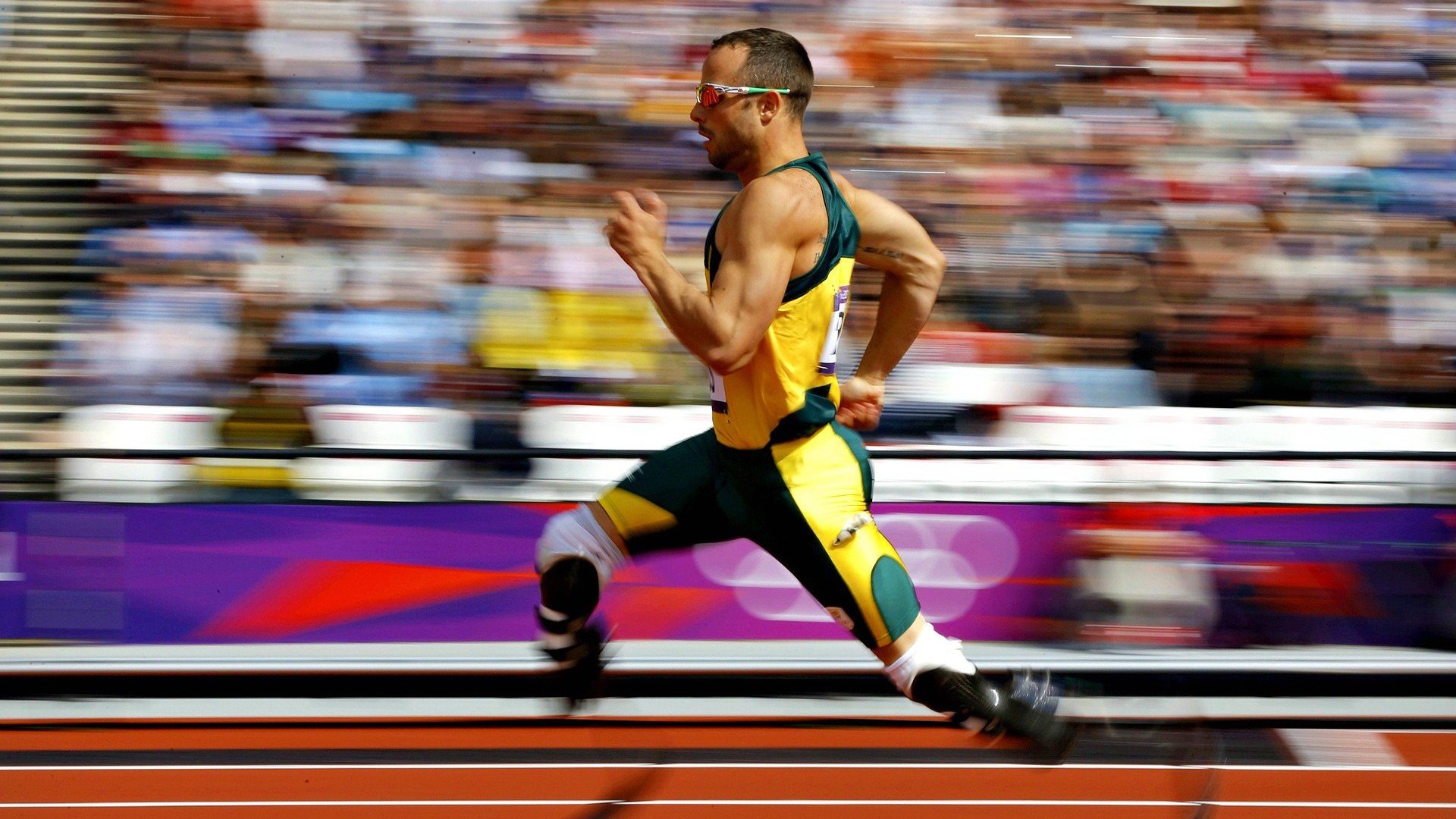 帕尔默教科书级表现引领瑞典，北欧雄狮踏平几内亚展露冠军相